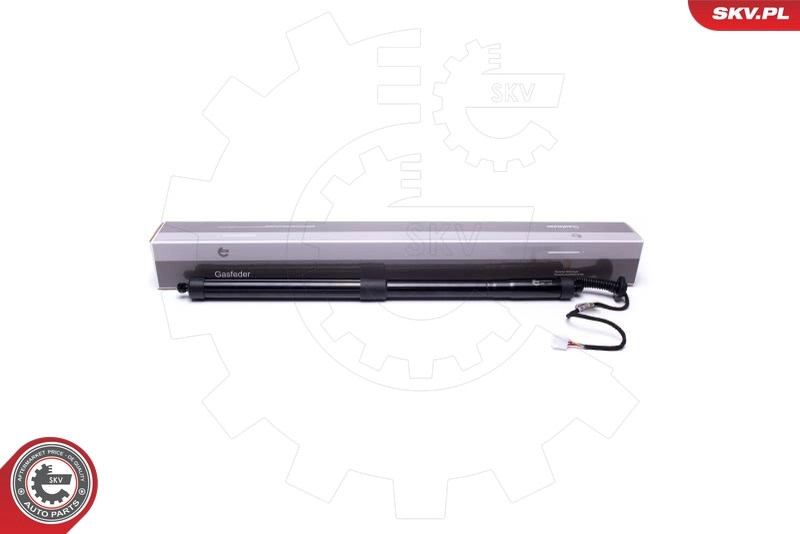Electric Motor, tailgate